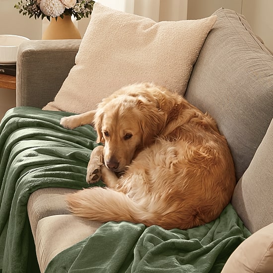 Truly Soft Velvet Plush Blanket