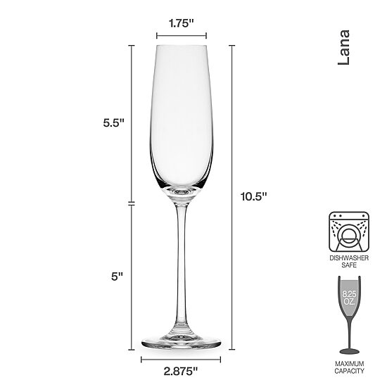 Mikasa Lana, Clear 4-pc. Champagne Flute