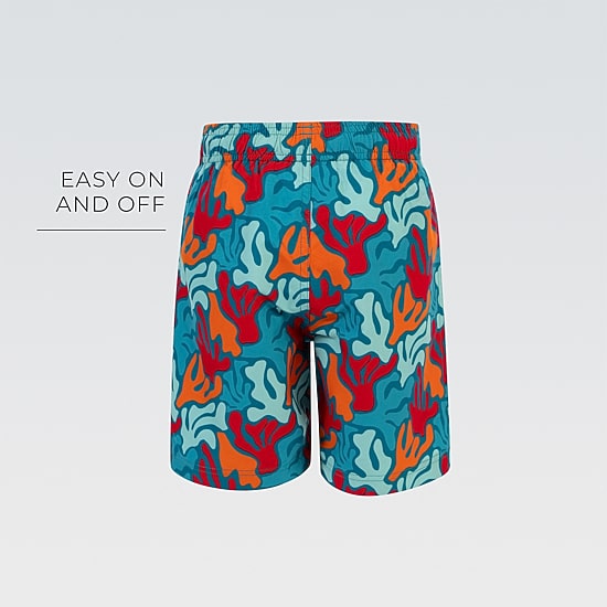 Dolfin Toddler & Little Boys Swim Trunks