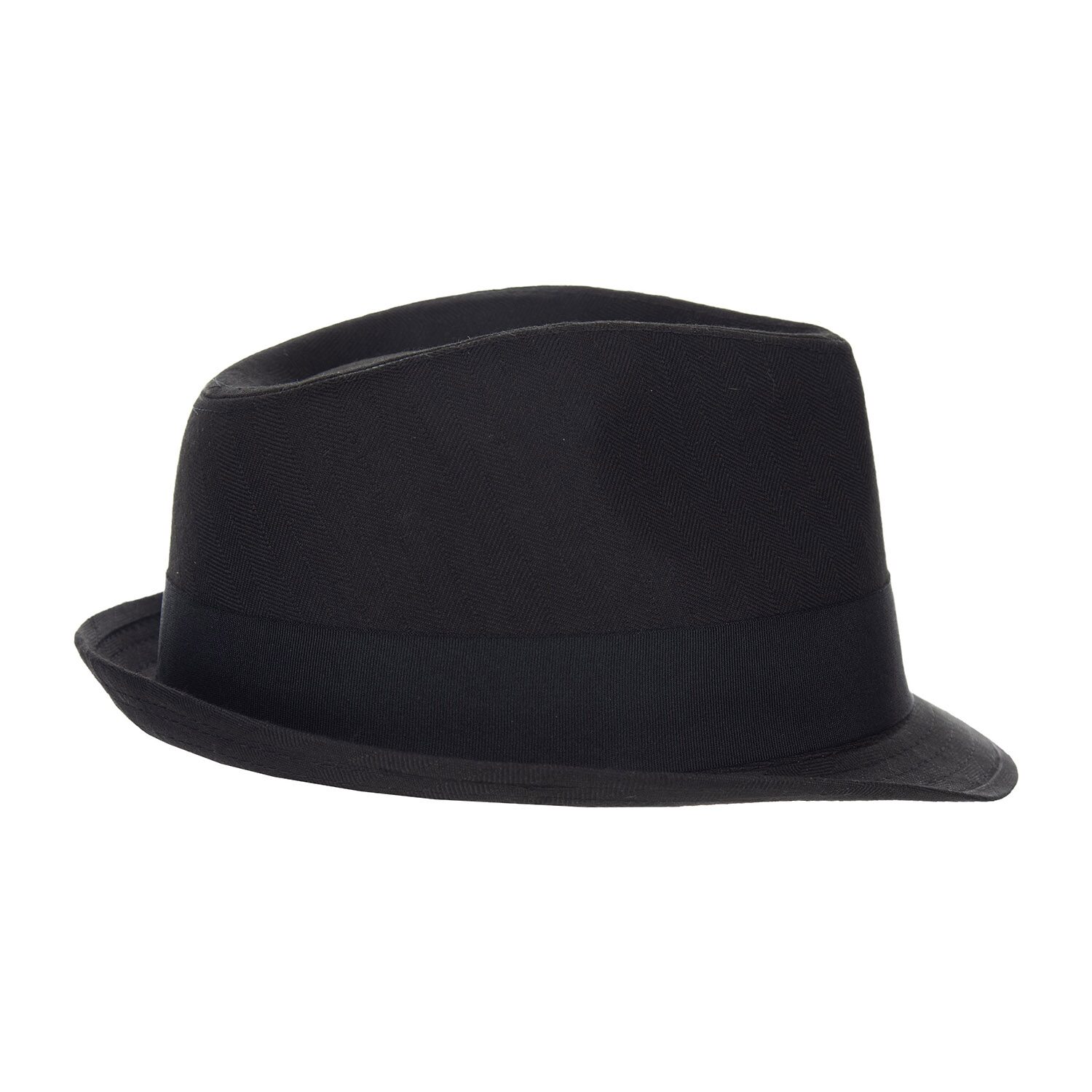 Biltmore Mens Fedora
