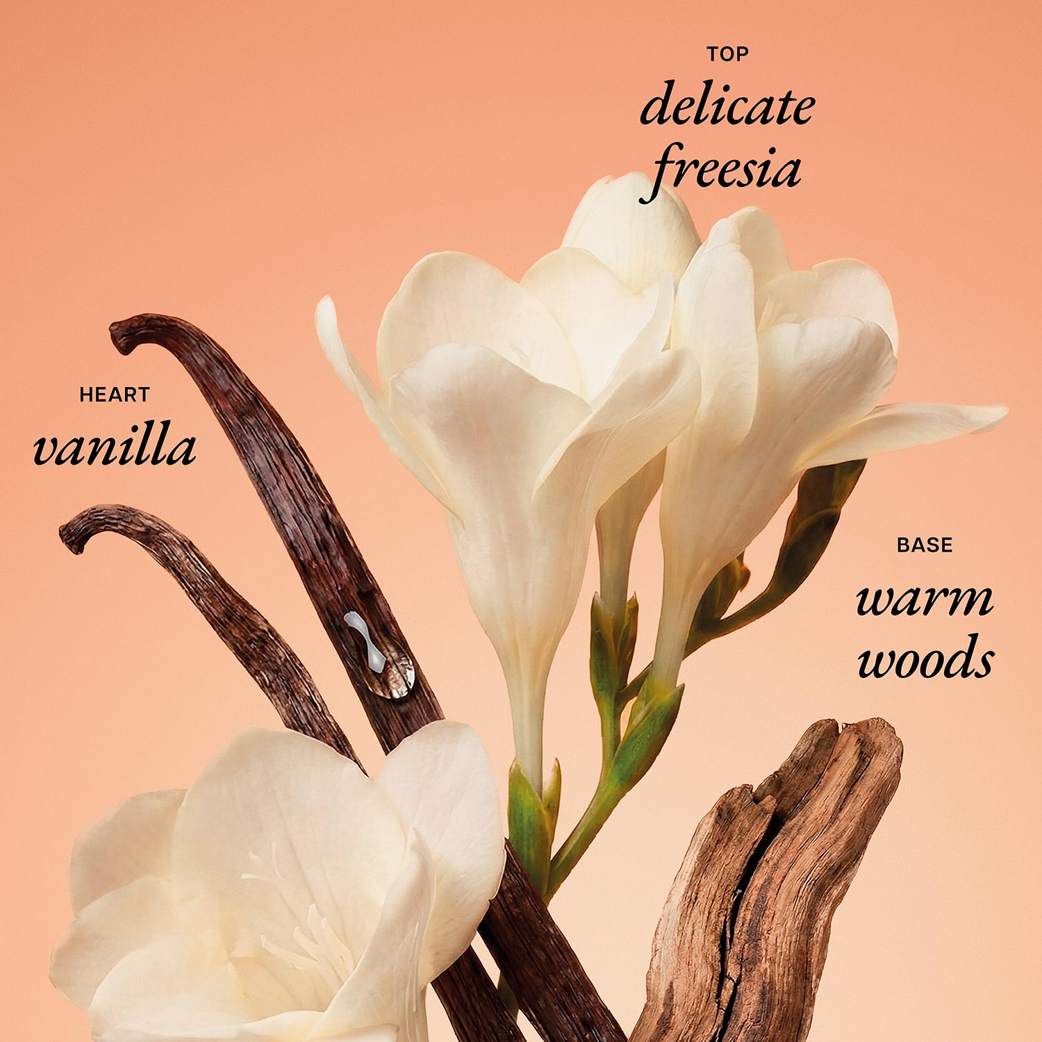 Philosophy Vanilla Hug Whipped Body Crème