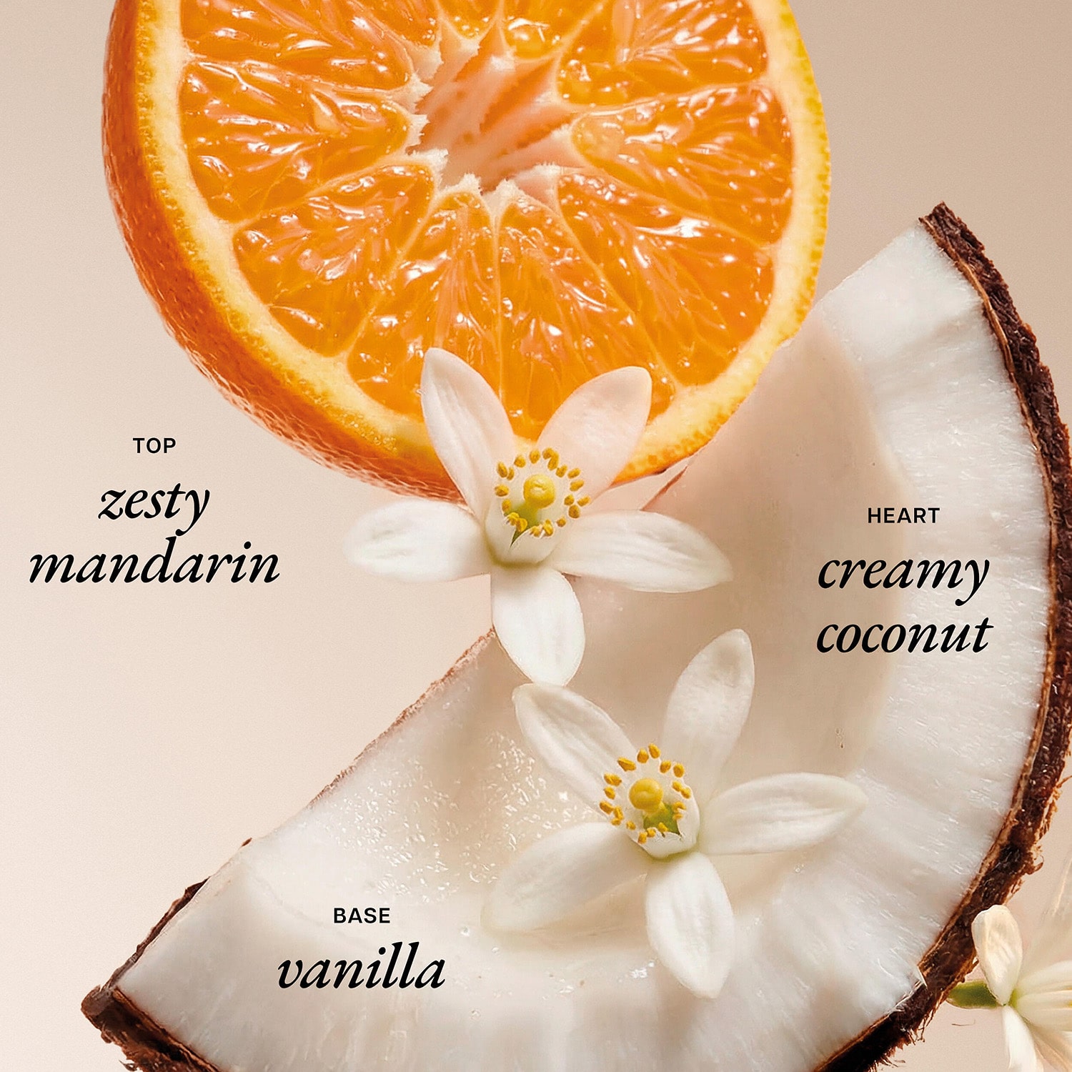 Philosophy Coconut Rush Whipped Body Crème