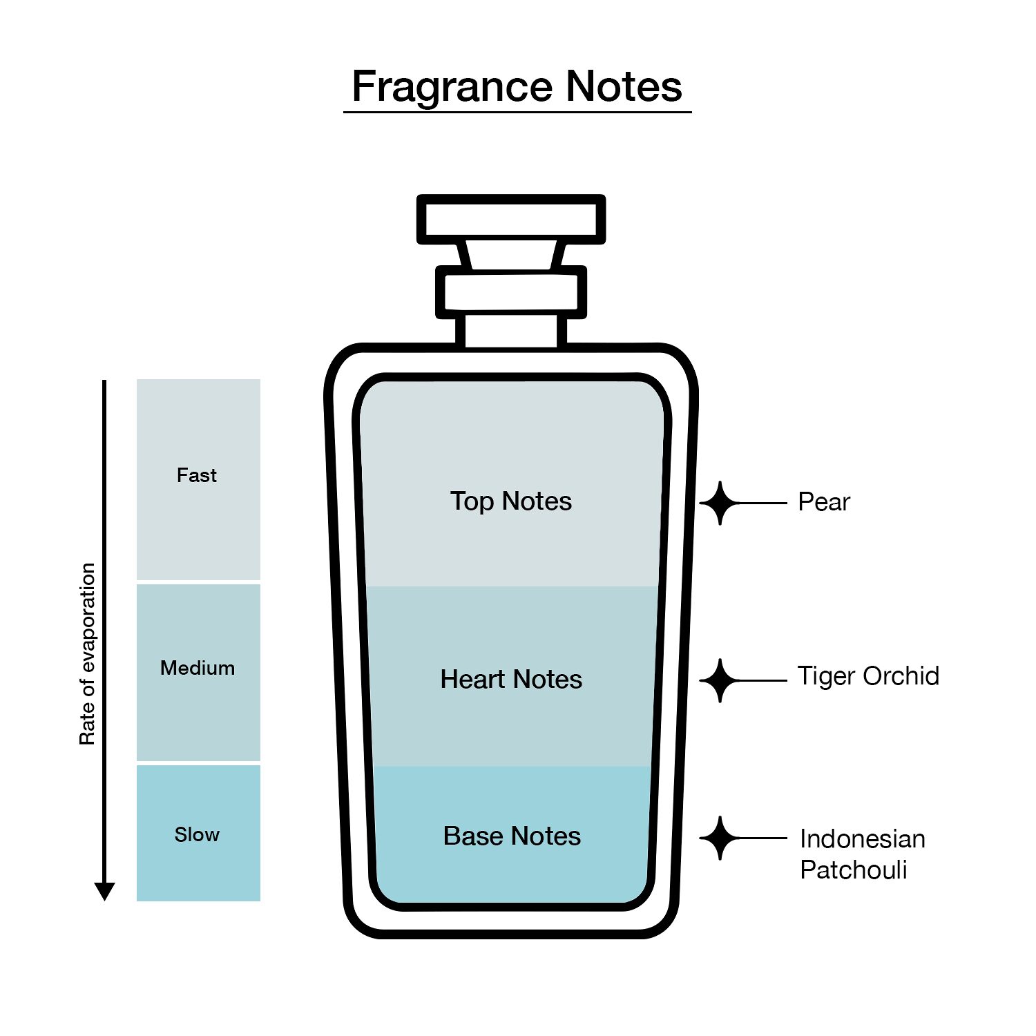 JIMMY CHOO Women Eau De Toilette, 1.3 Oz