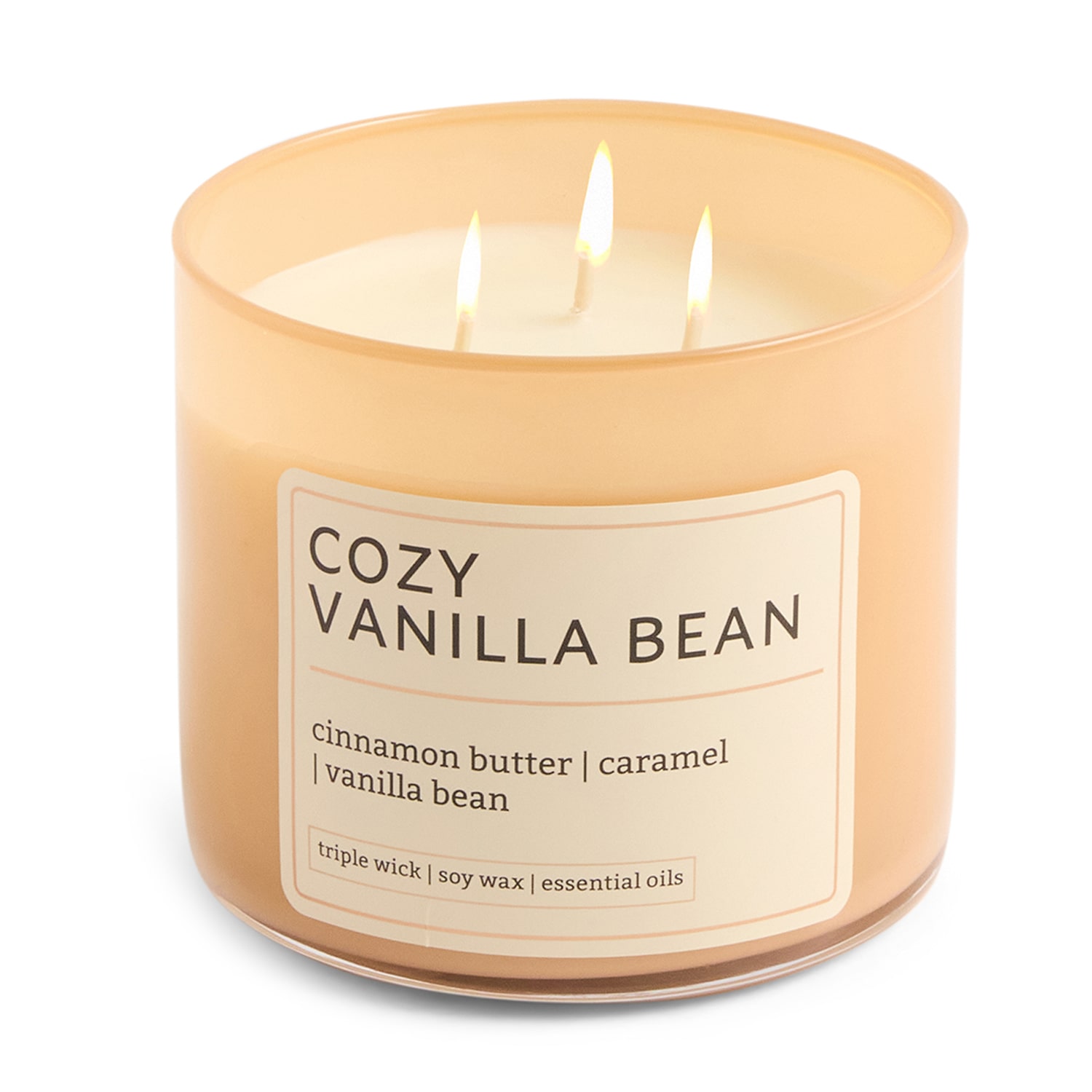 Distant Lands 14oz Cozy Vanilla Bean 3-Wick Scented Jar Candle