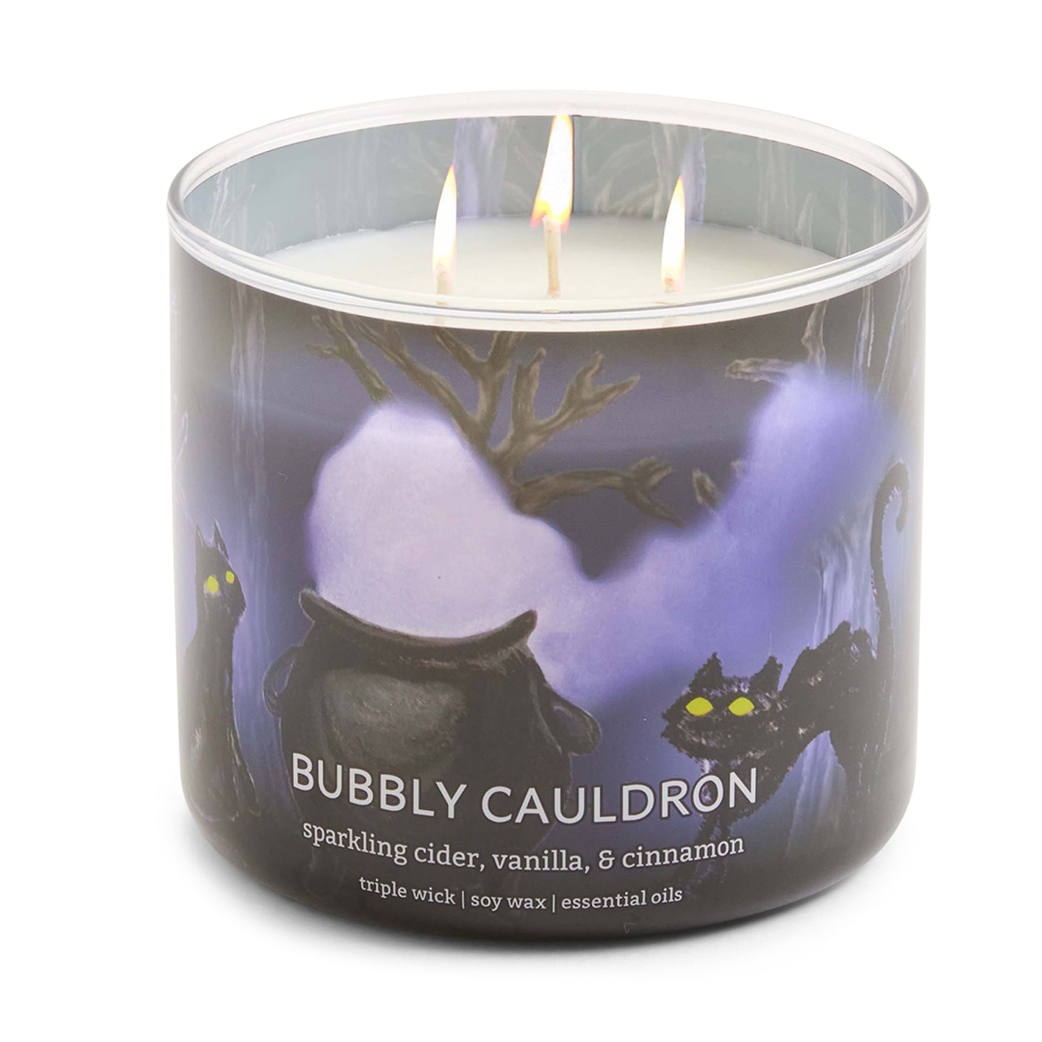 Distant Lands Bubbly Cauldron 3-Wick Scented Jar Candle