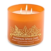 Distant Lands Pumpkin Spice Cake 3-Wick Scented Jar Candle
