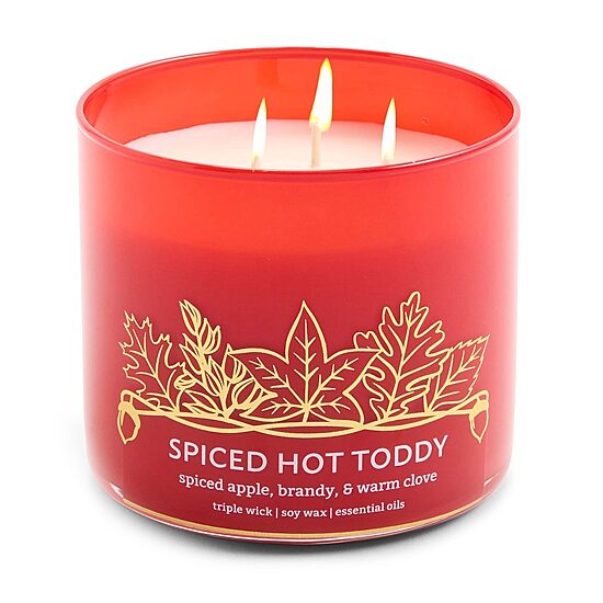Distant Lands 14oz Spiced Hot Toddy 3-Wick Scented Jar Candle