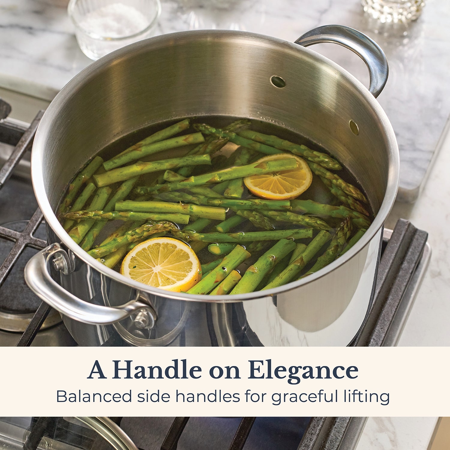 Anolon Everlast Tri-Ply 8 Qt Stockpot