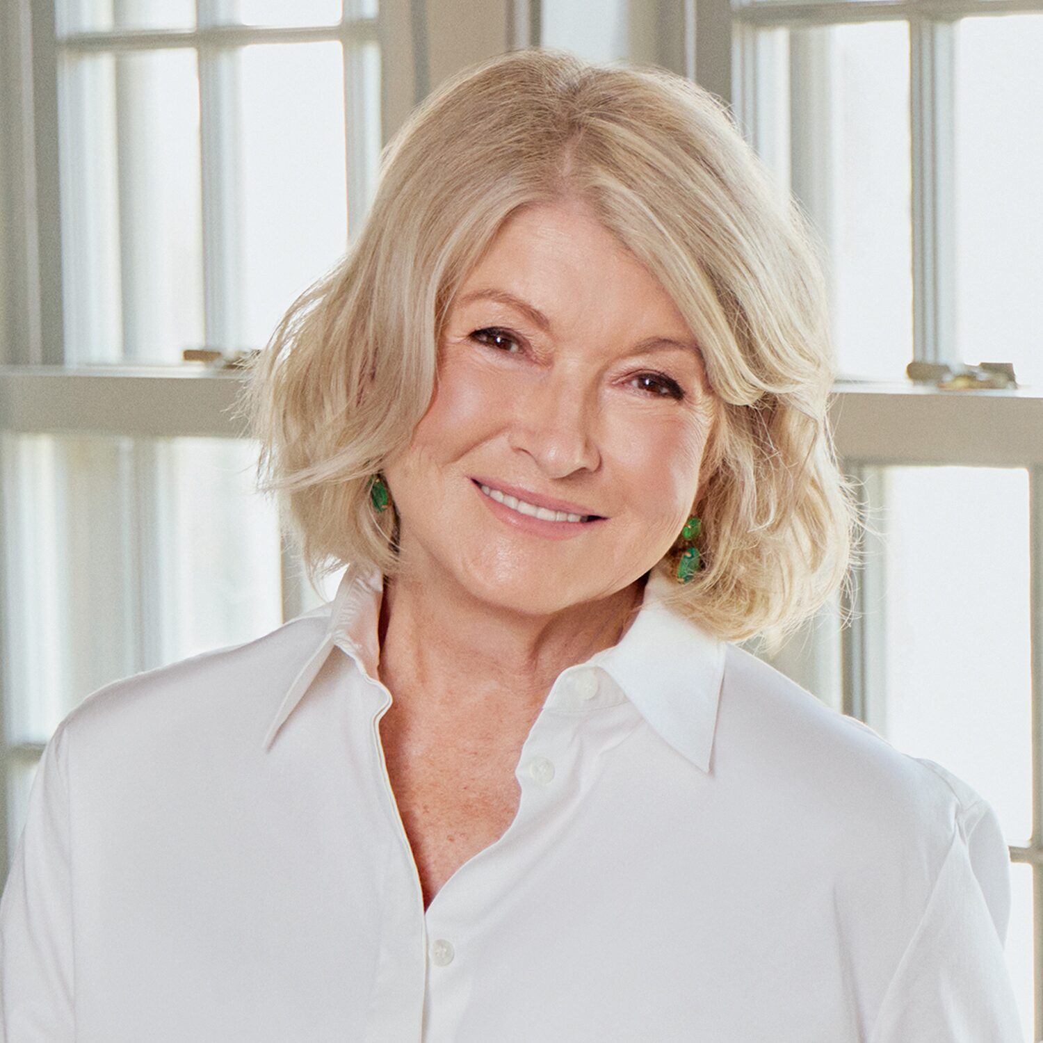 Martha Stewart Air Fryer