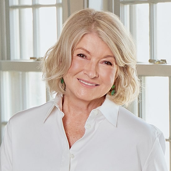 Martha Stewart Electric Toaster