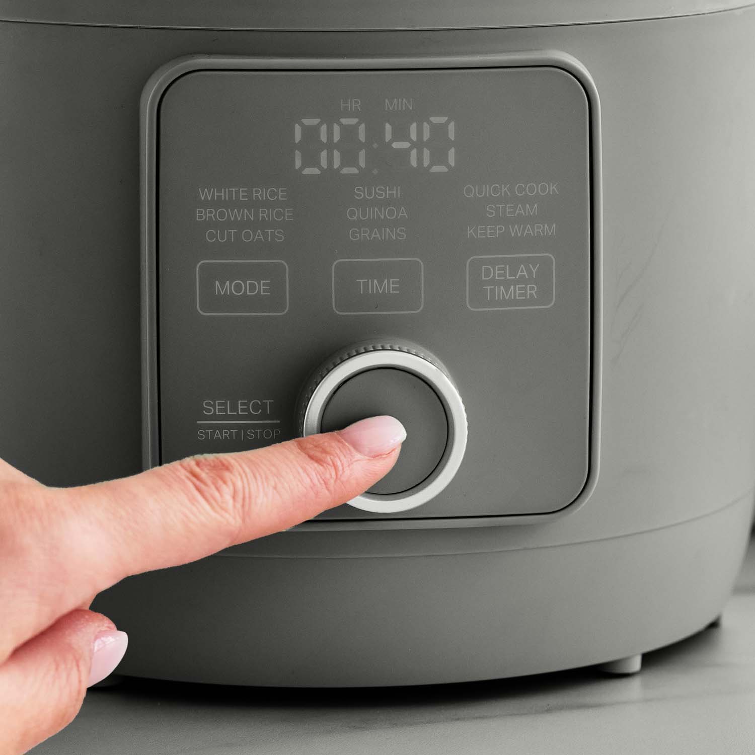 Martha Stewart Rice Cooker