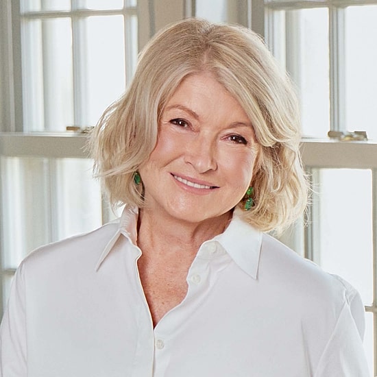 Martha Stewart Rice Cooker