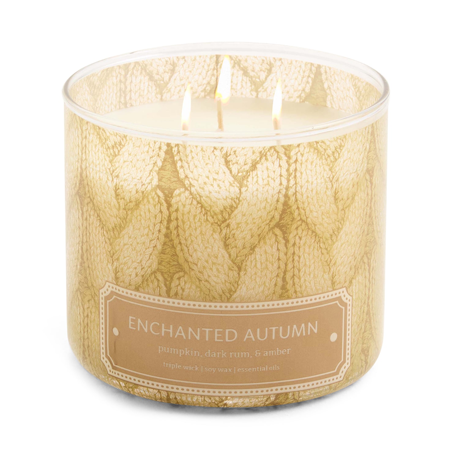 Distant Lands 14oz Enchanted Autumn 3-Wick Scented Jar Candle