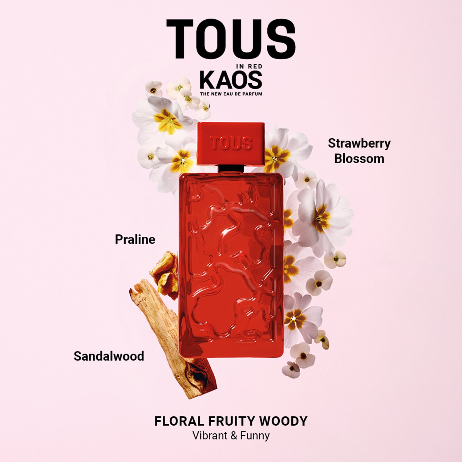 TOUS