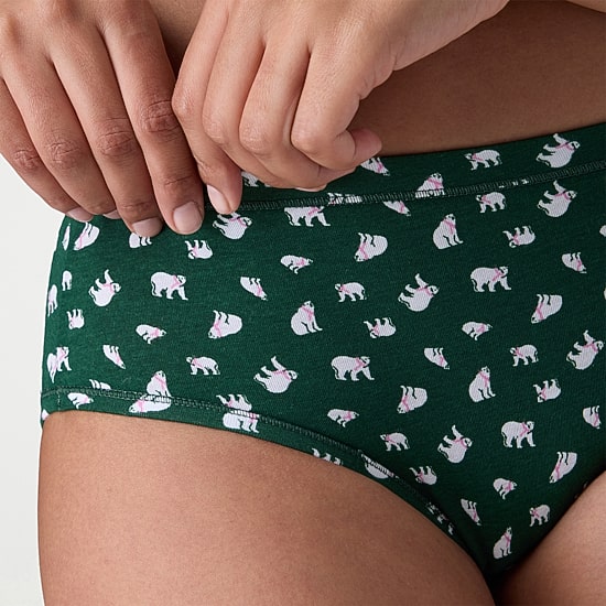 Hanes Womens  5+1 Bonus Pack Hipster Panty 41w6cs