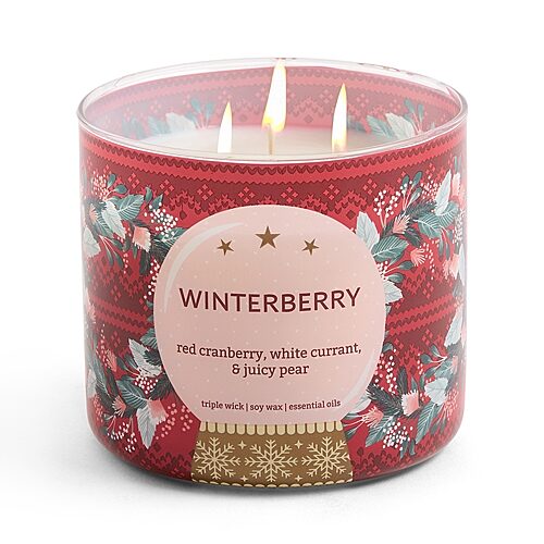 Distant Lands Scented Jar Candle In Winterberry