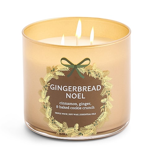 Distant Lands Scented Jar Candle In Gingerbre Noel