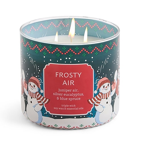Distant Lands Scented Jar Candle In Frosty Air