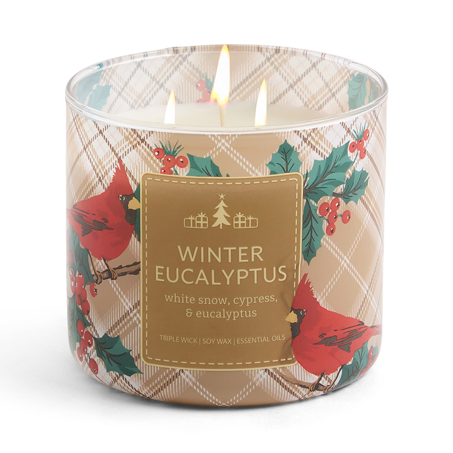 Distant Lands Scented Jar Candle