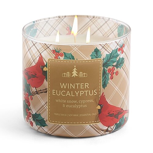 Distant Lands Scented Jar Candle In Winter Eucalyptus