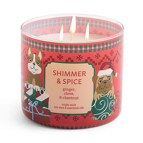 Distant Lands Scented Jar Candle In Shimmer Spice