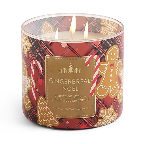 Distant Lands Scented Jar Candle In Gingerbread Noel