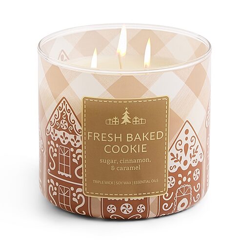 Distant Lands Scented Jar Candle In Fresh Baked Cookie