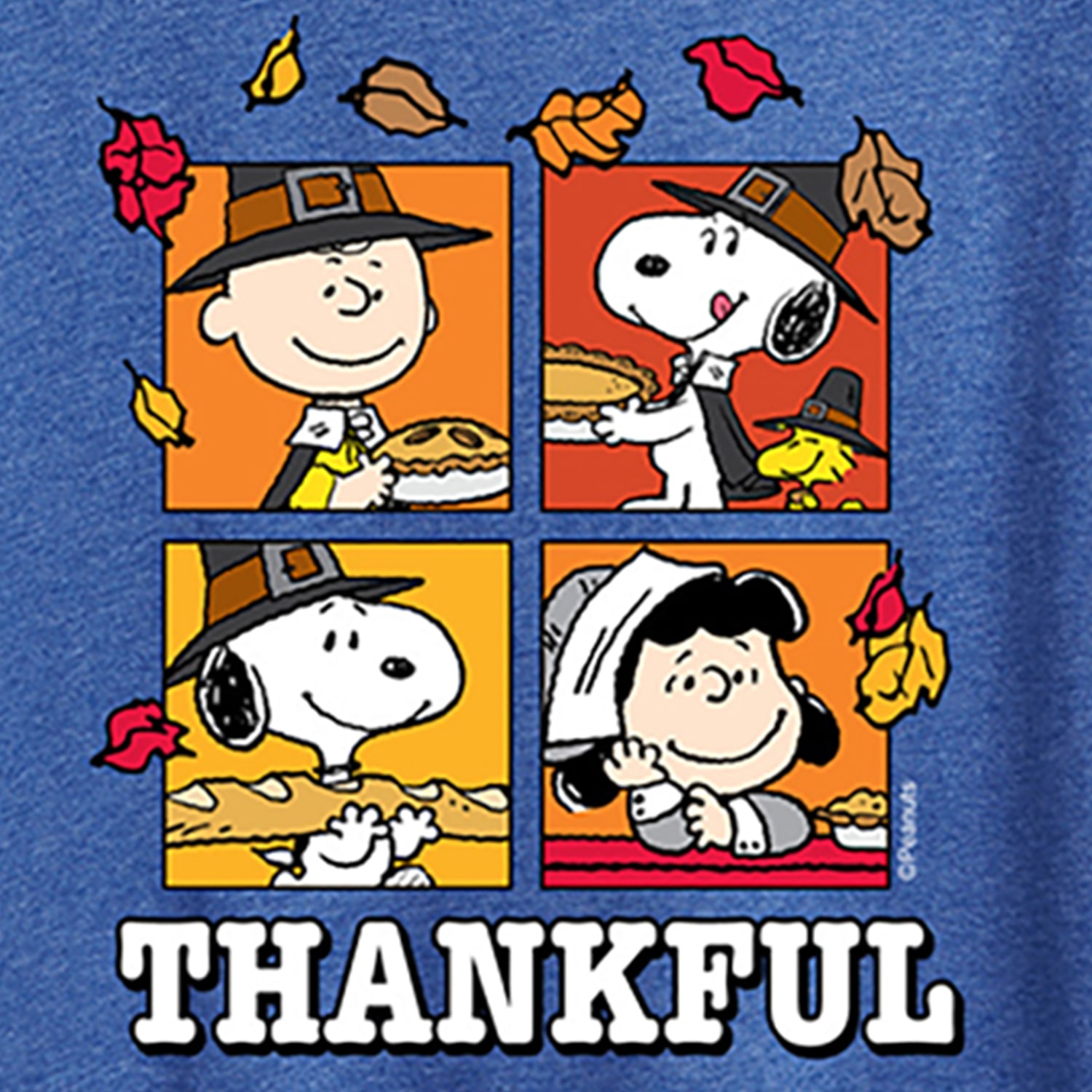Thankfulwoodstock Womens Scoop Neck Short Sleeve Regular Fit Peanuts Snoopy Graphic T-Shirt