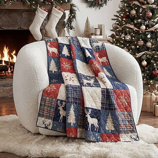 Your Lifestyle By Donna Sharp Noel Patch Quilted Throw