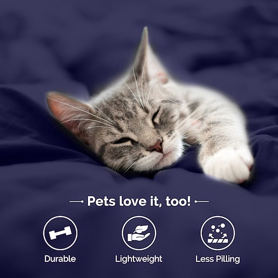 Martex Easy Living Wrinkle Resistant Pillowcase