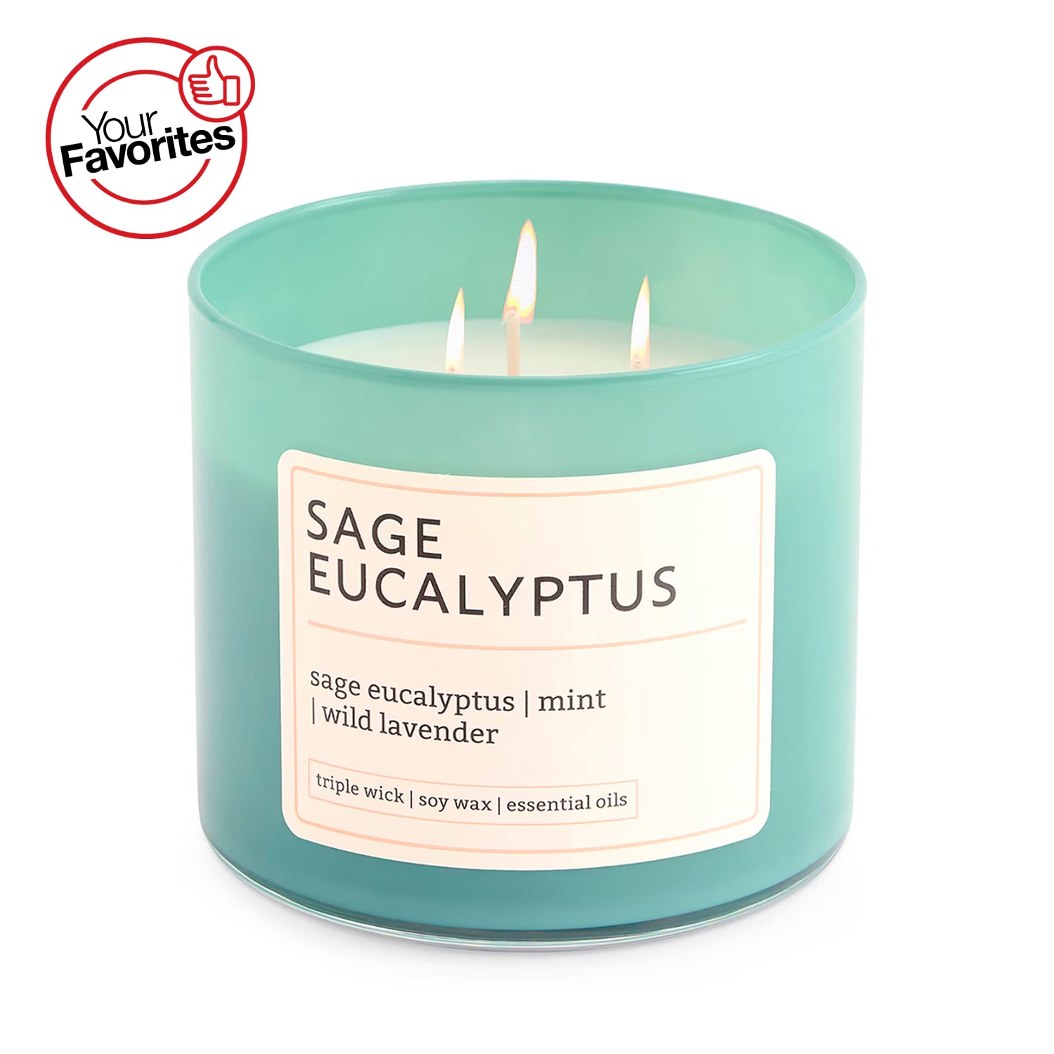 Distant Lands 14oz Sage Eucalyptus 3-Wick Scented Jar Candle