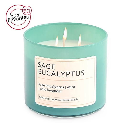 Distant Lands 14oz Sage Eucalyptus 3-Wick Scented Jar Candle