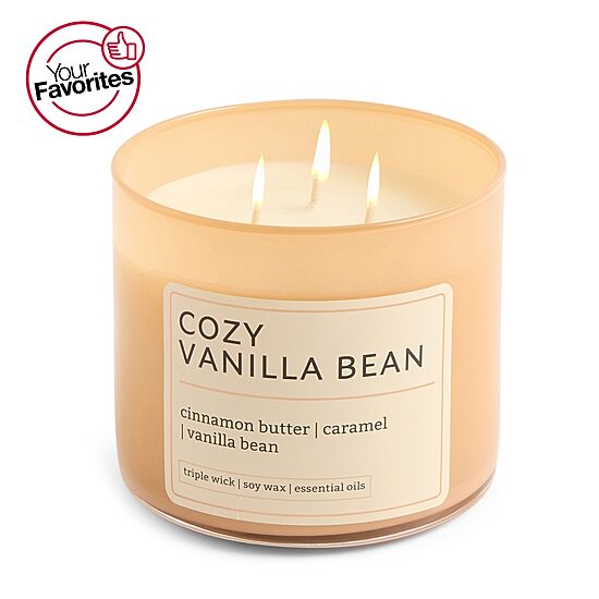 Distant Lands 14oz Cozy Vanilla Bean 3-Wick Scented Jar Candle