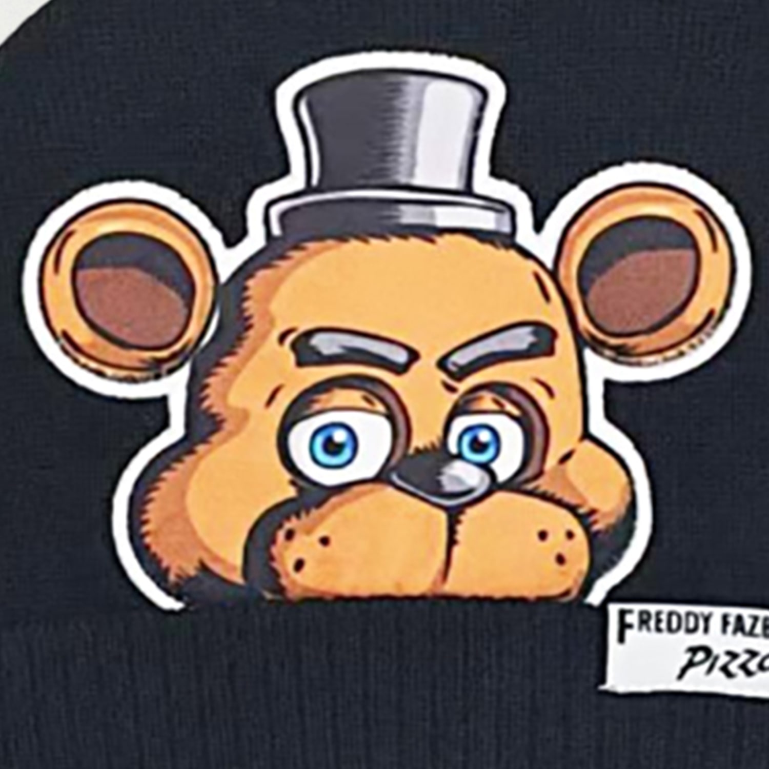 Little & Big Kid Unisex Five Nights at Freddys Cold Weather Set
