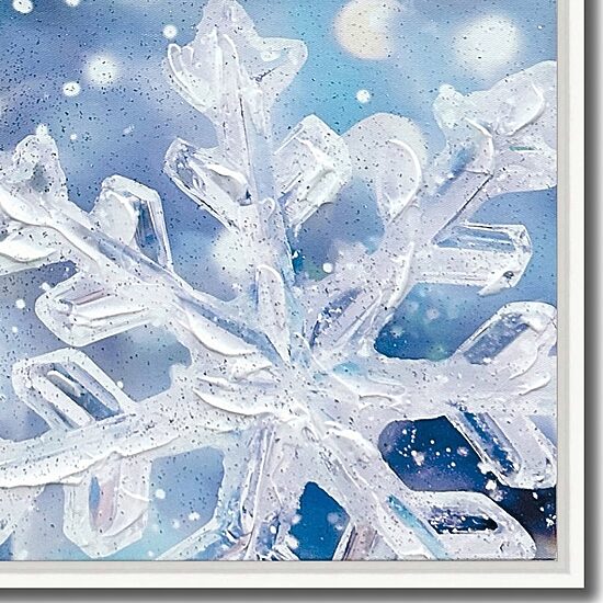 Streamline Art Winter Star Embellished Canvas Art
