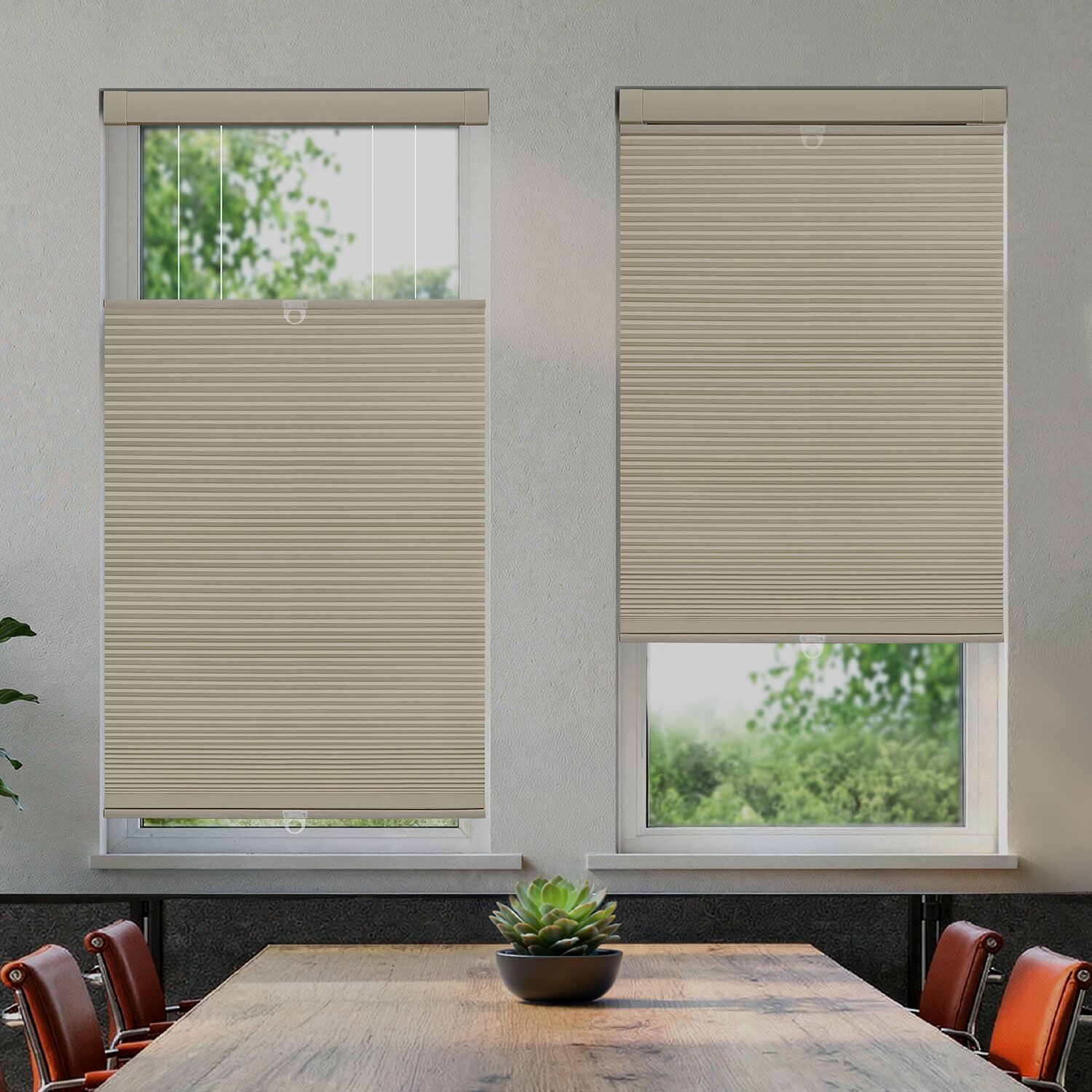Ez Grip No Tool Cordless Top Down Bottom Up Blackout Cellular Shade