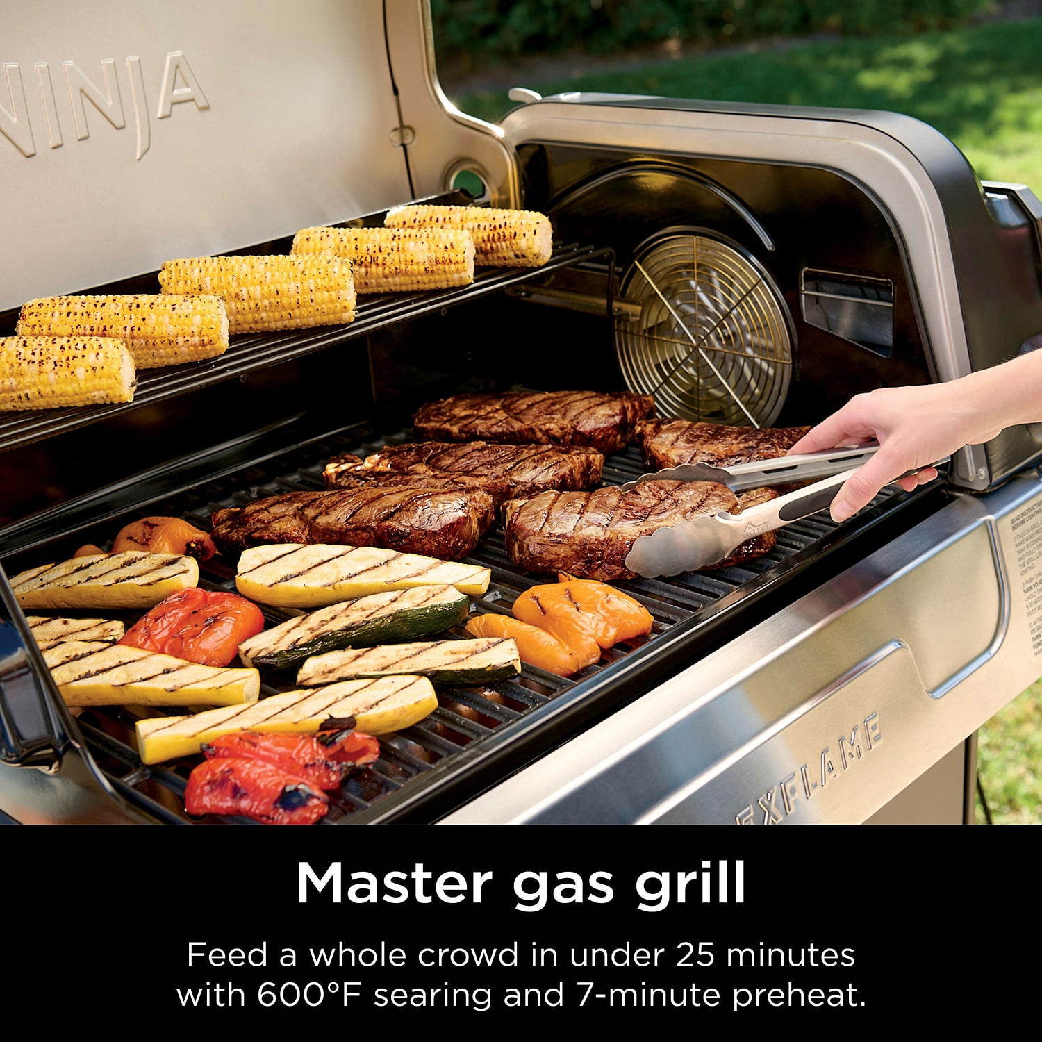 Ninja Flexflame Outdoor System Outdoor Pizza Oven