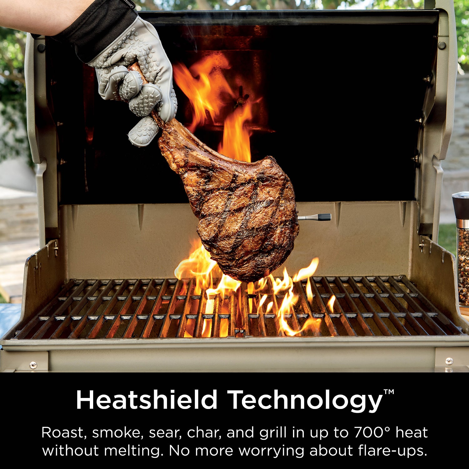 Ninja Prochef Wireless Thermometers