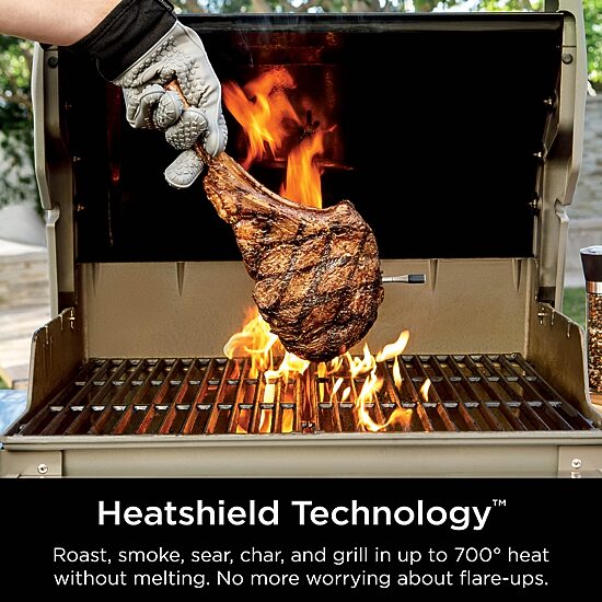 Ninja Prochef Wireless Thermometers