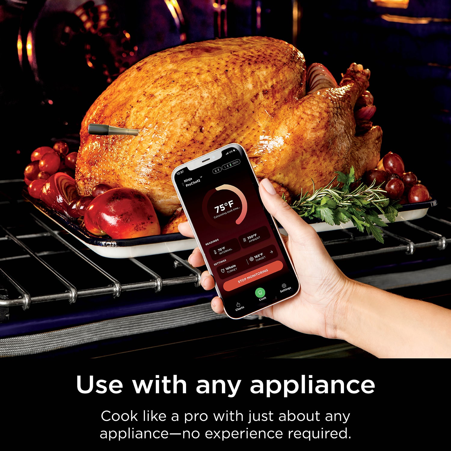 Ninja Prochef Wireless Thermometers