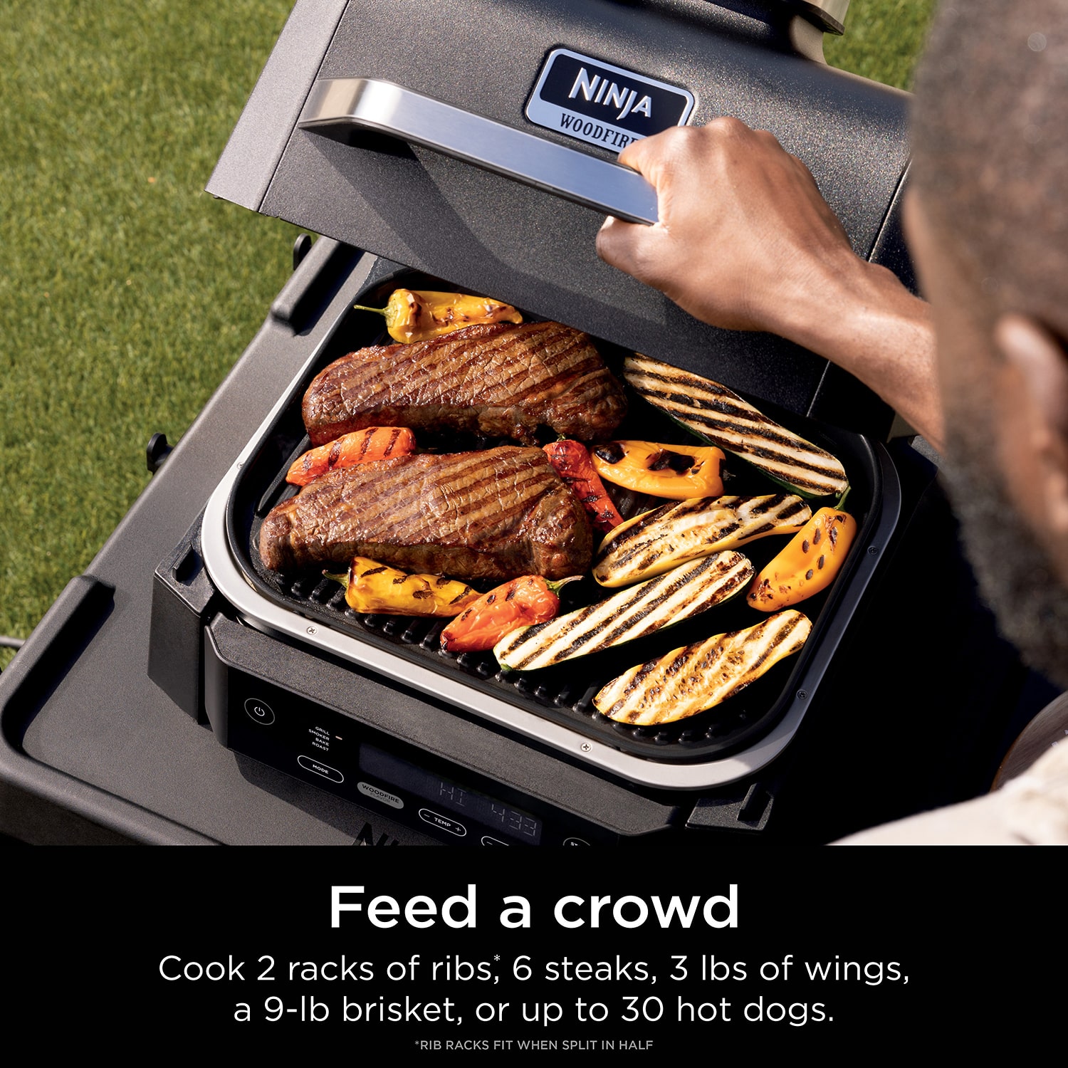 Ninja Woodfire Outdoor Smoker