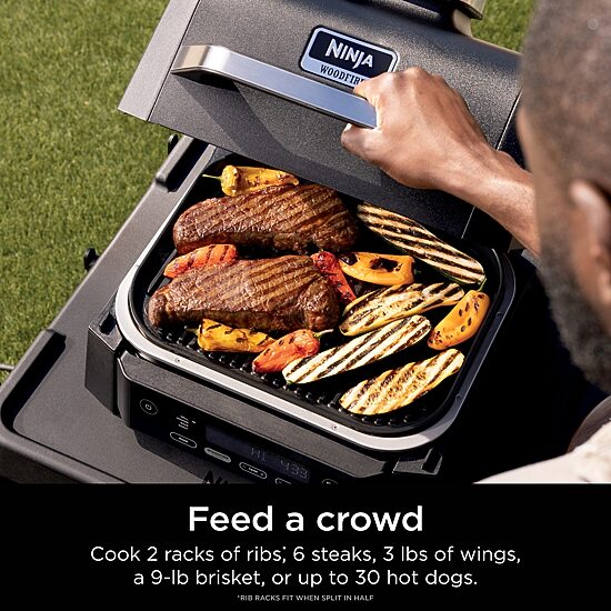 Ninja Woodfire Outdoor Smoker