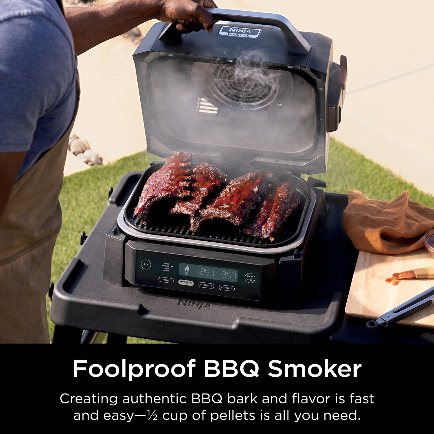 Ninja Woodfire Outdoor Smoker