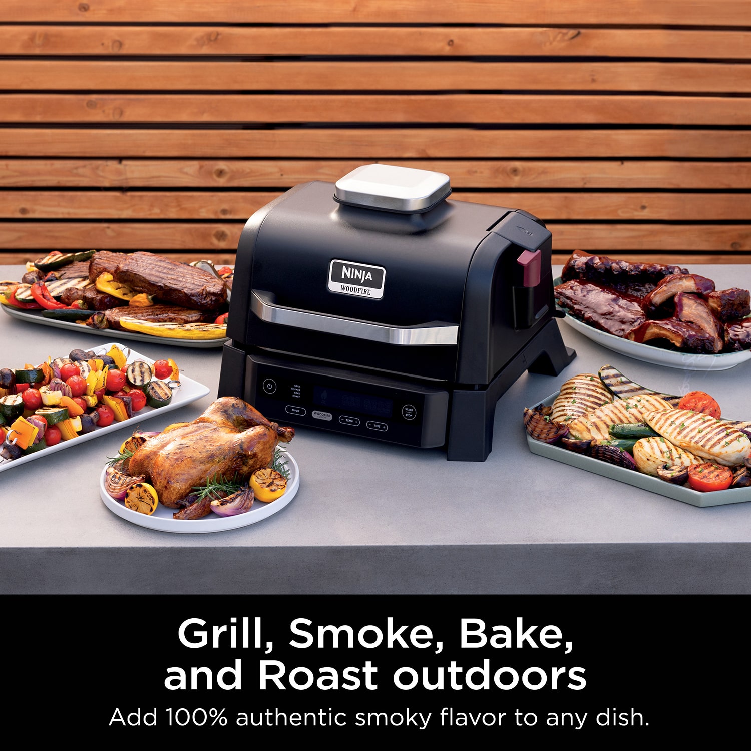 Ninja Woodfire Outdoor Smoker