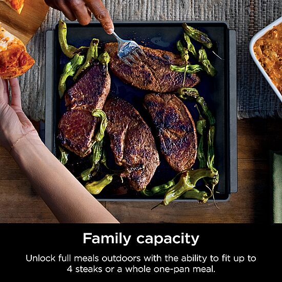 Ninja Woodfire Outdoor, Pre-Seasoned Grill Pans