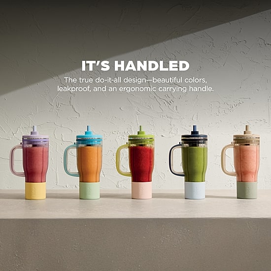 Ninja Blend Boss 3-Speed Blender