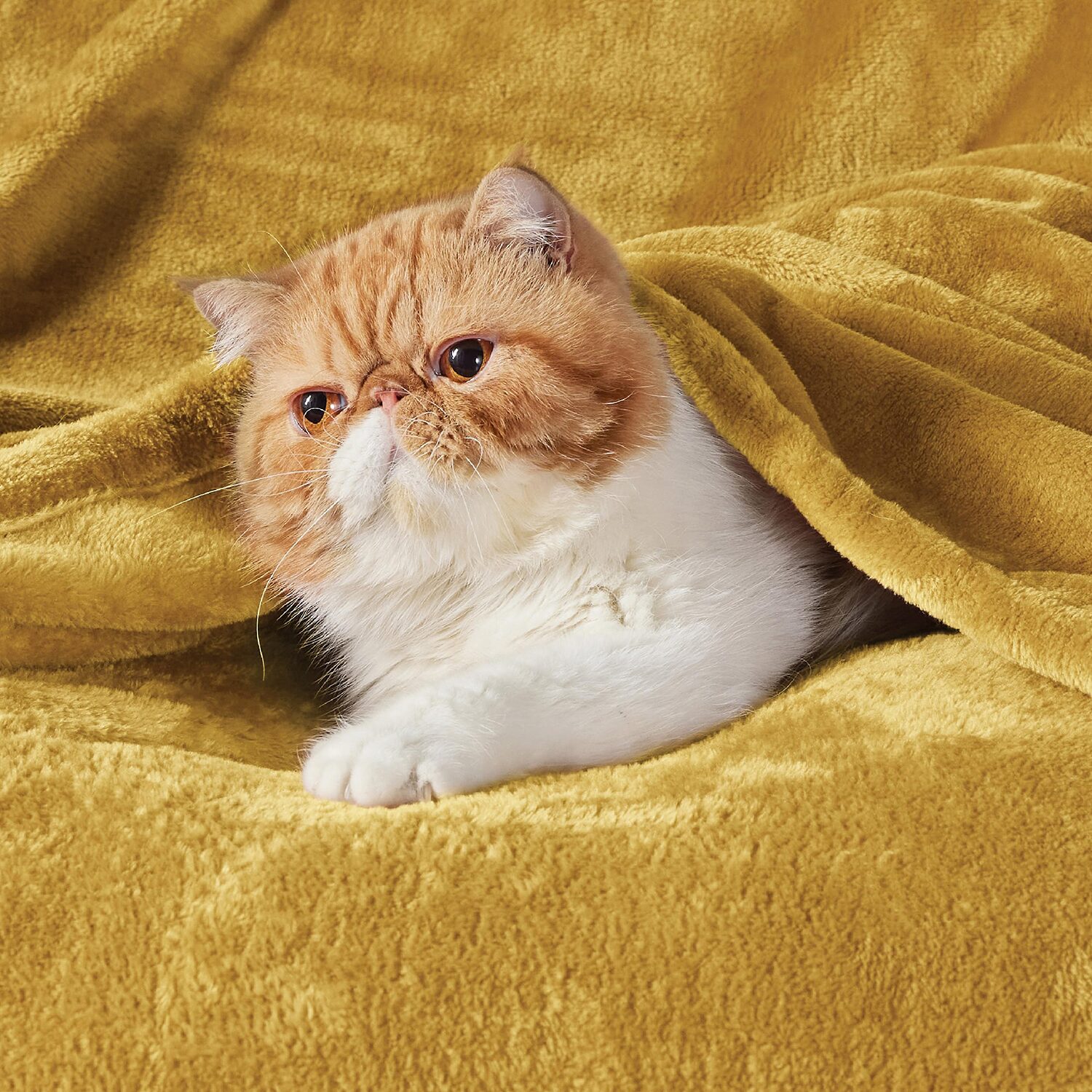 Bedsure® Flannel Solid Midweight Blanket