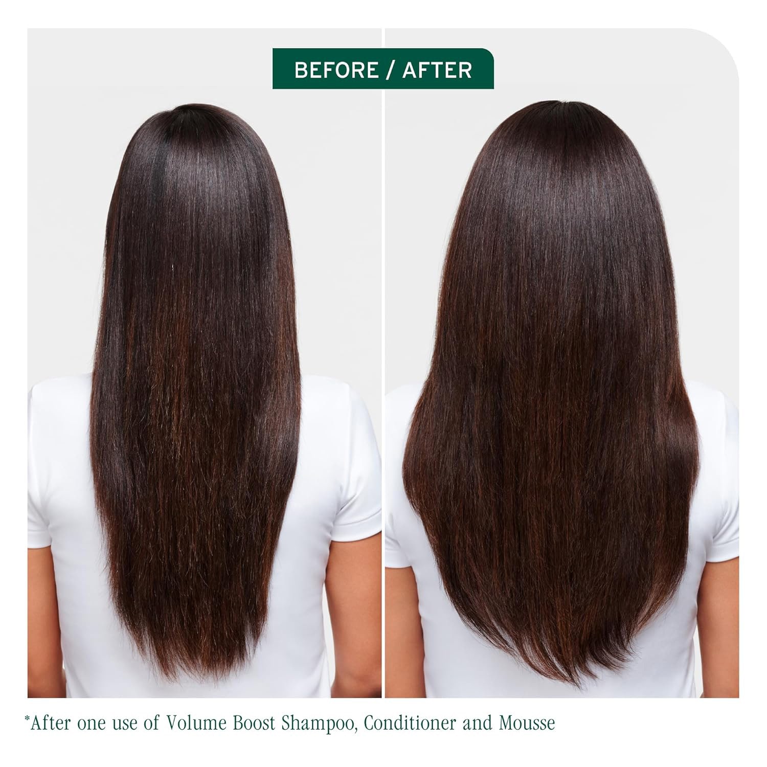 Biolage Volume Bloom Holiday Kit