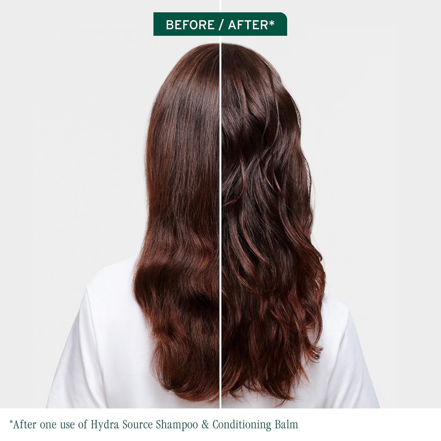 Biolage Hydra Source Holiday Kit