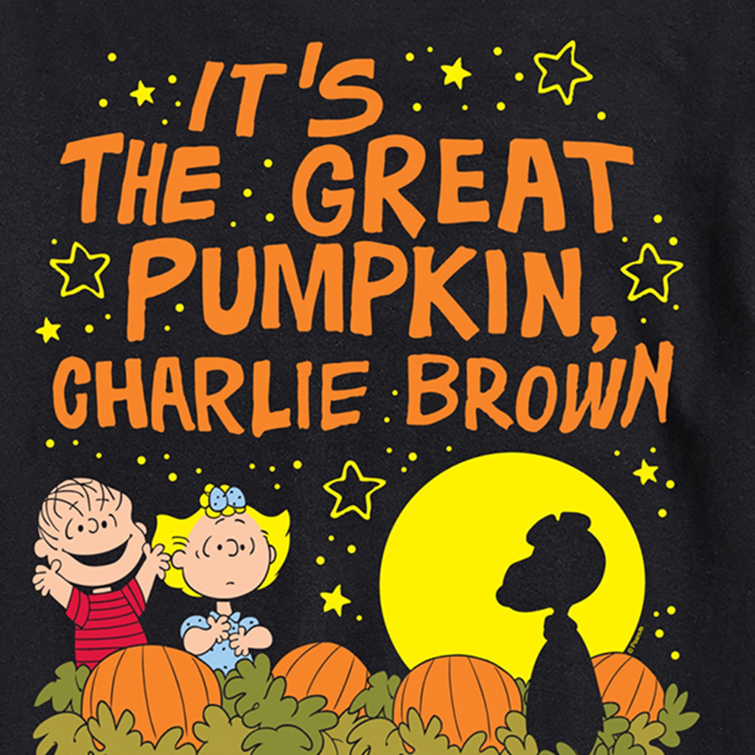 Great Pumpkin 60th Halloween Mens Crew Neck Short Sleeve Regular Fit Peanuts Graphic T-Shirt